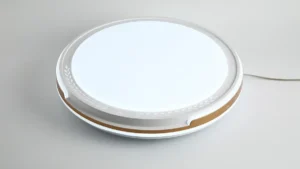 Comparing Leading LED Ceiling Light Manufacturers